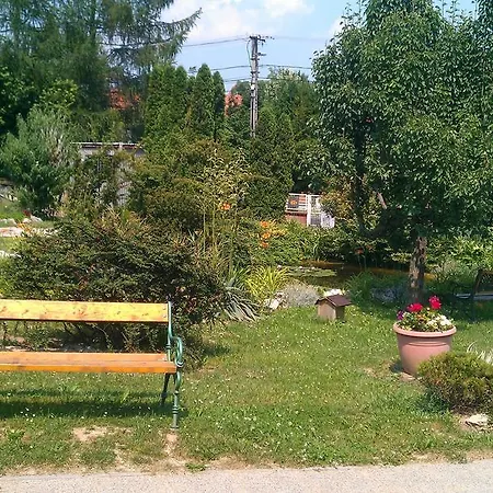 Németh